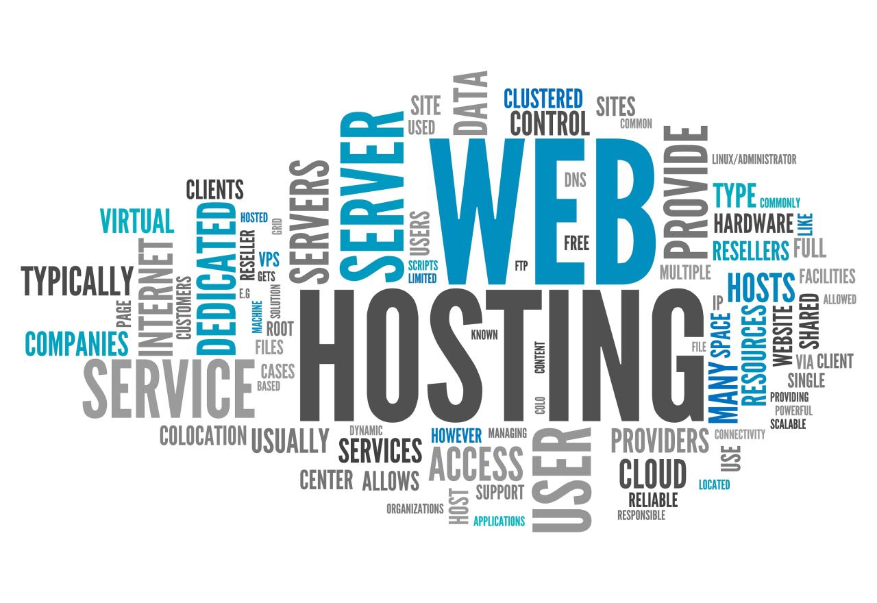 Web hosting website