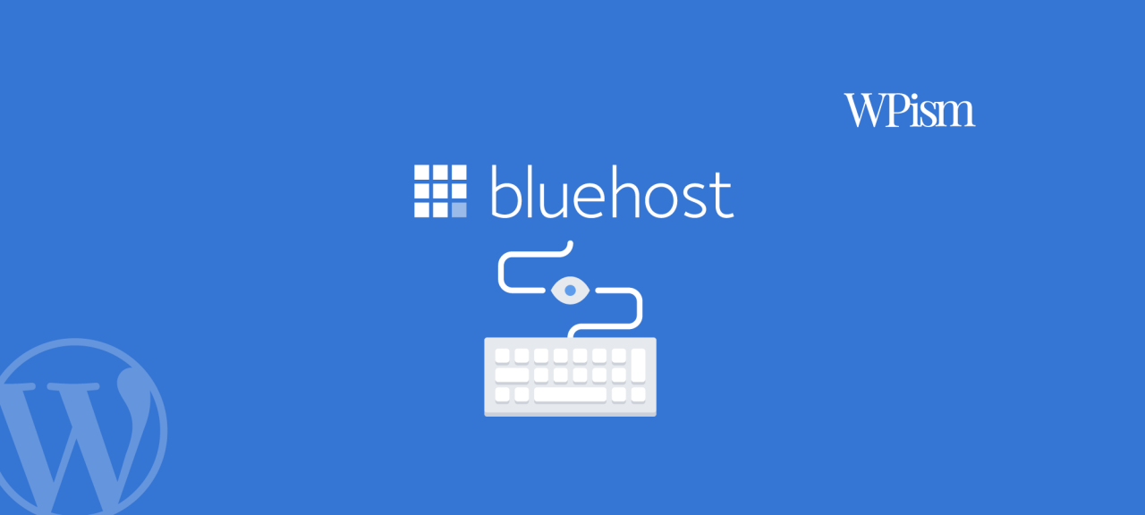 Bluehost free domain