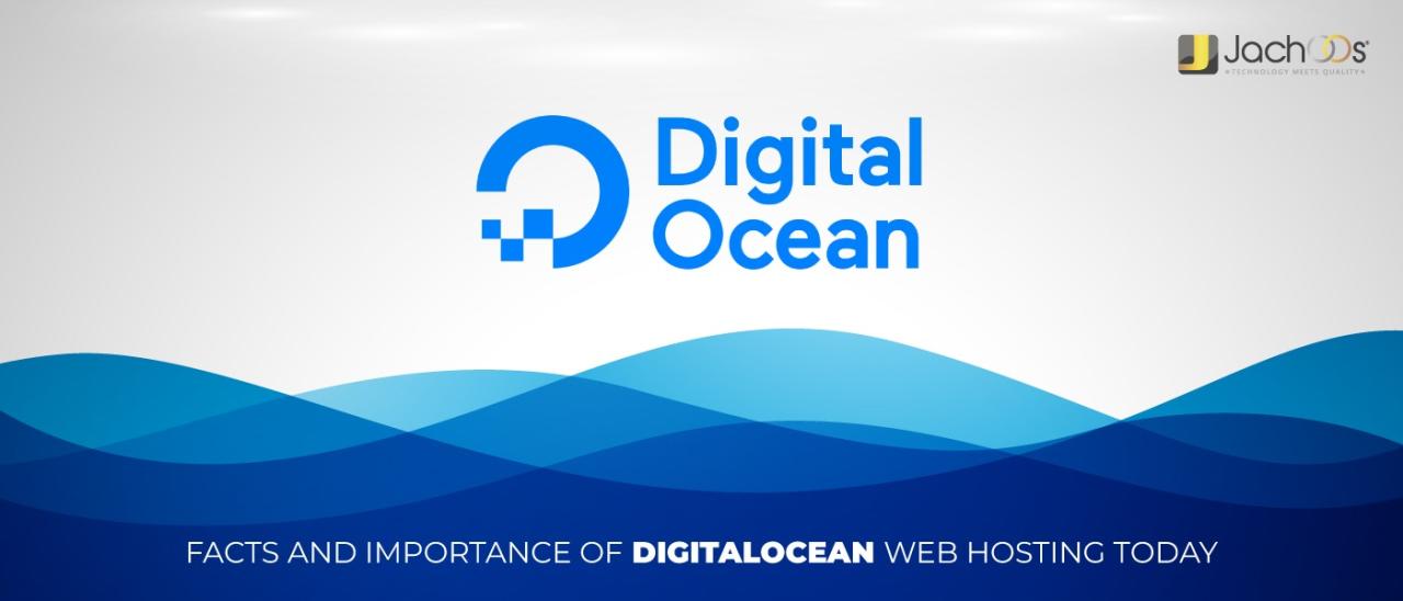 Digital ocean web hosting