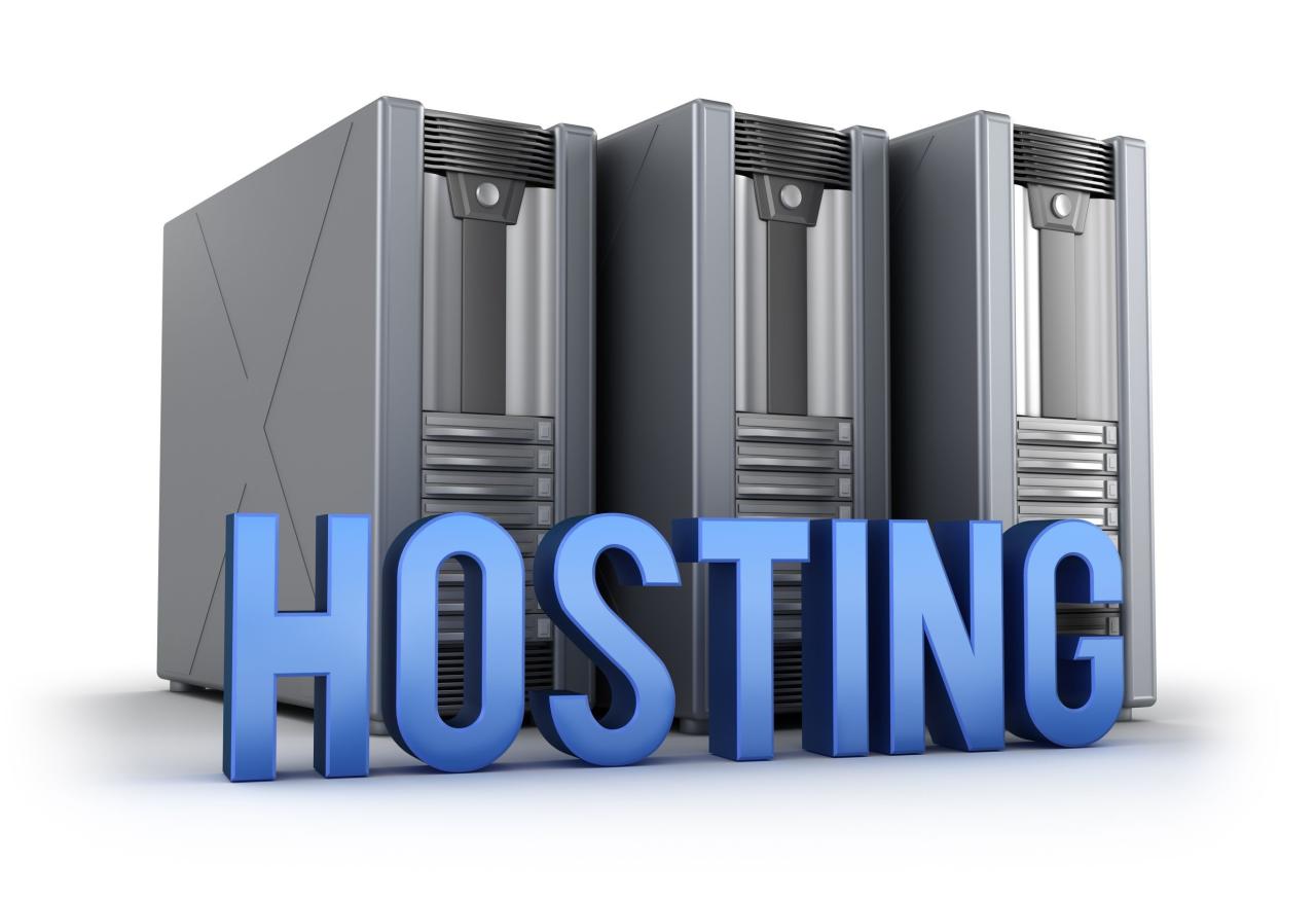 Dedicated web hosting