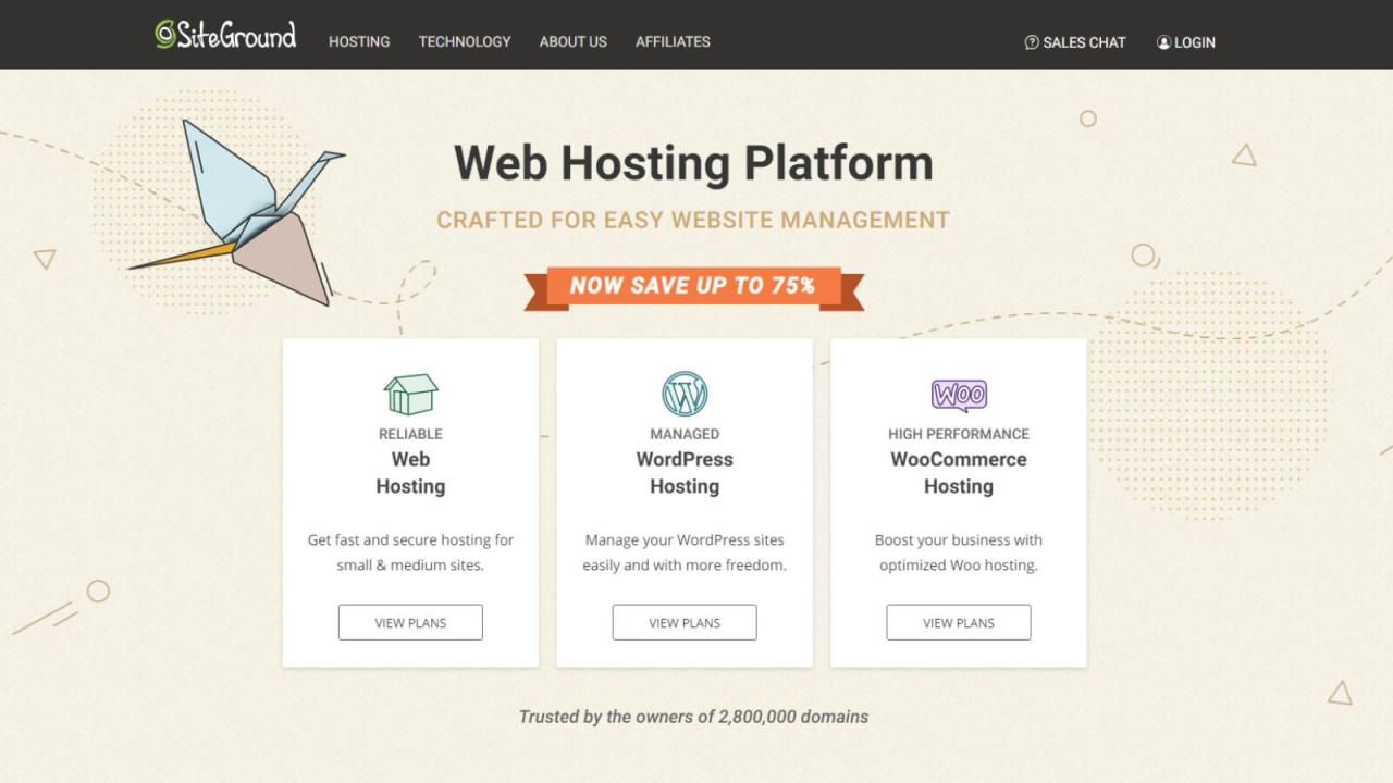 Siteground web hosting