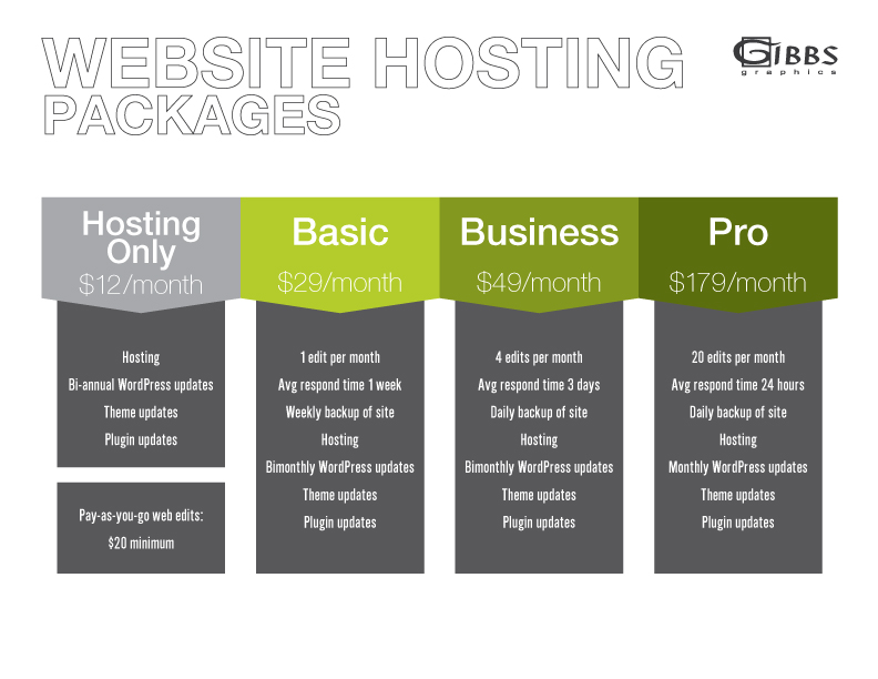 Web hosting plan plans znetlive lite plus