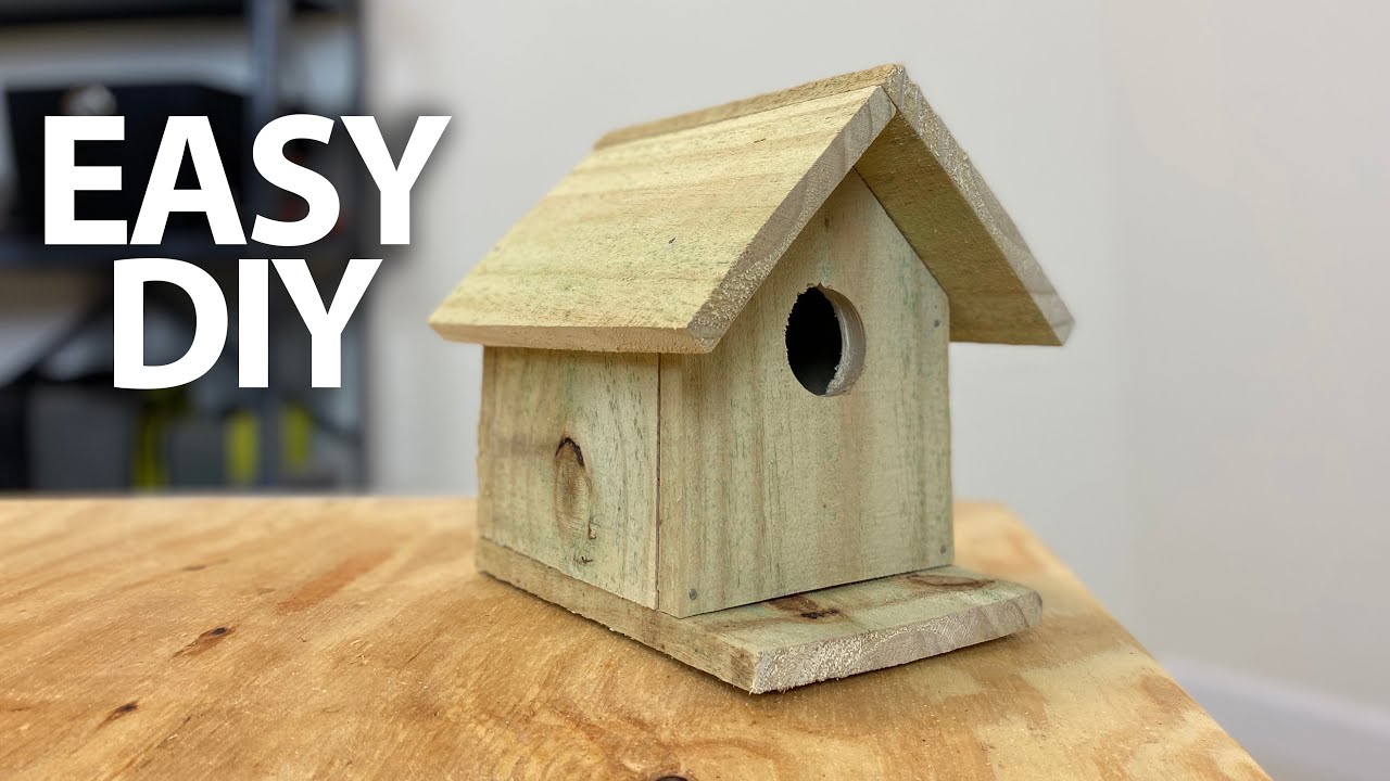 Diy bird house