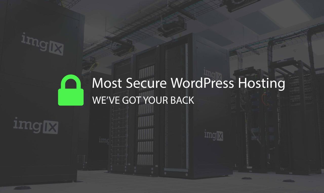 Secure wordpress hosting